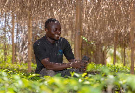 PRODUCTION ET FOURNITURE DE PLANTS – AGBO 2