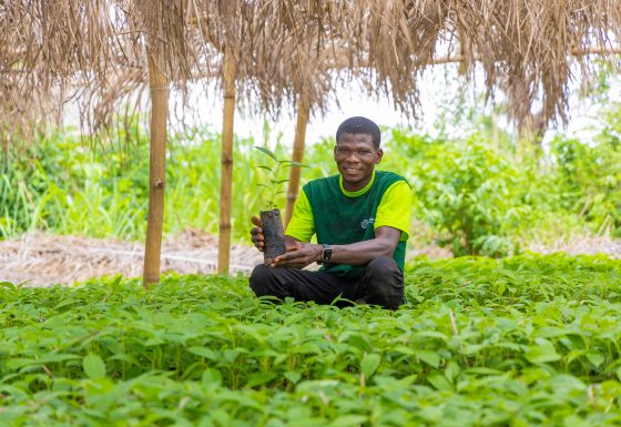 REFORESTATION DANS LA FILIERE CAFE-CACAO