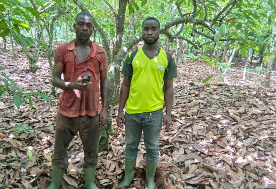 Appui à la conformité EUDR des approvisionnements de Cargill