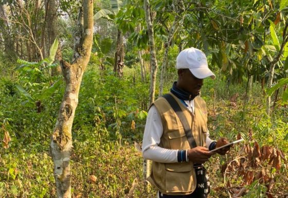 Accompagnement à la conformité EUDR dans le bassin d’approvisionnement d’Atlantic Cocoa Corporation Cameroun